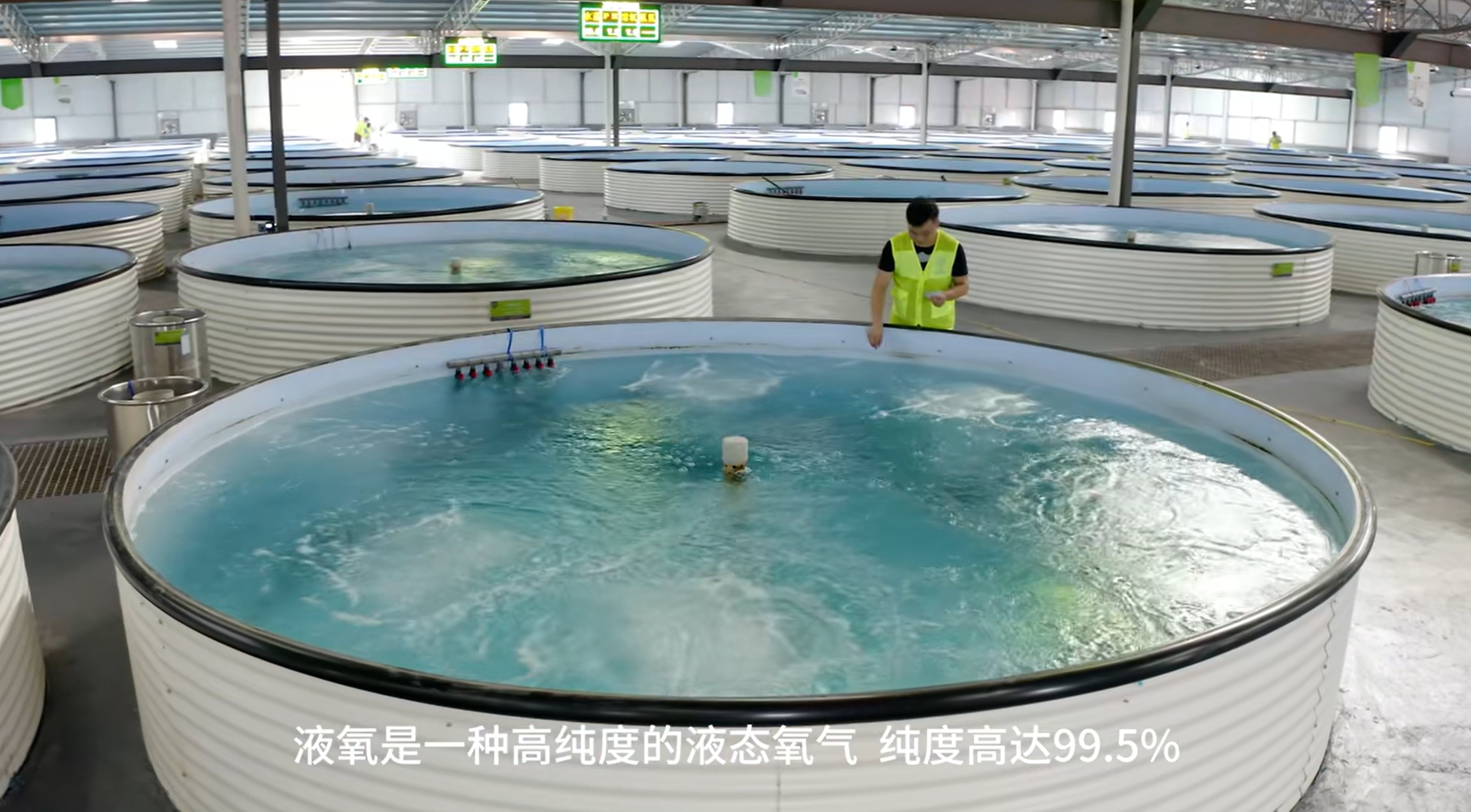 液氧 | 水产养殖的 “秘密武器”(图1)